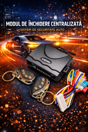 Sisteme de securitate - Sistema centralizată FLAGMAN