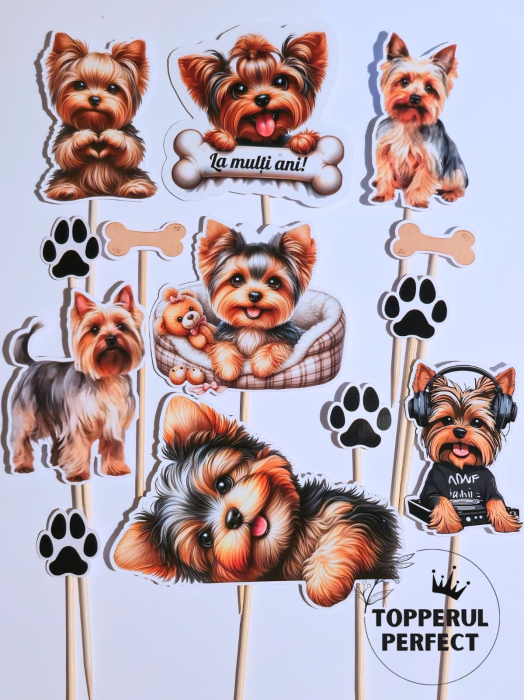 Set Toppere Caini 2 [1]