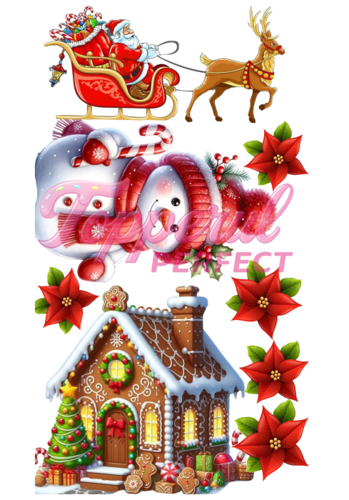 Vafa Imprimata Craciun 7 [1]