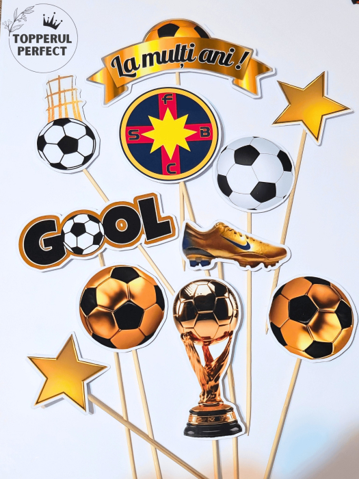 Set Toppere FCSB [1]