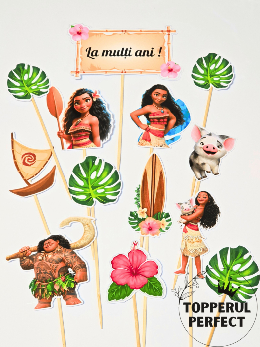Set Toppere Printesa Moana [1]