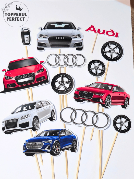 Set Toppere Audi [1]