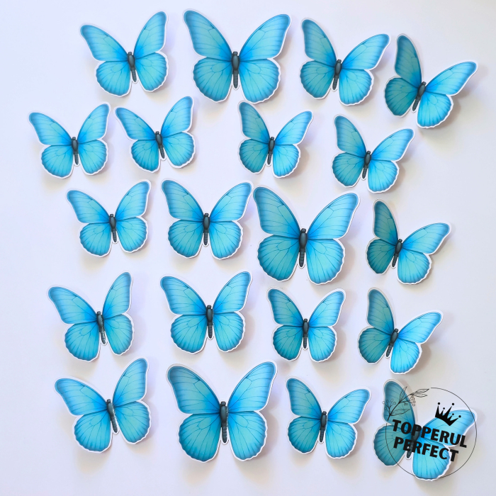 Set Fluturi Albastri Deschis [1]