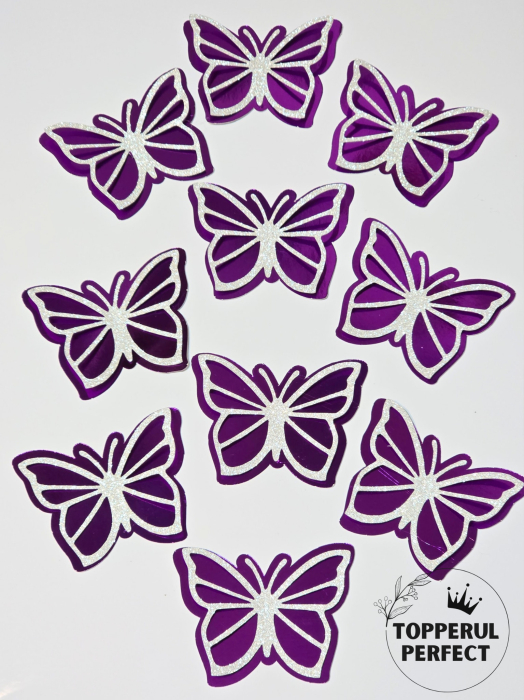 Set Fluturi 3D Mov + Argintiu [1]