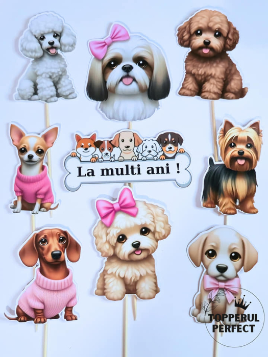 Set Toppere Caini [1]