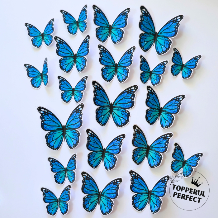 Set Fluturi Albastri Inchis [1]