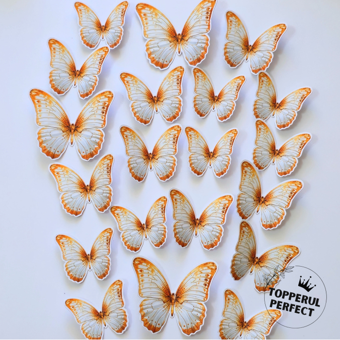 Set Fluturi Aurii cu Alb [1]