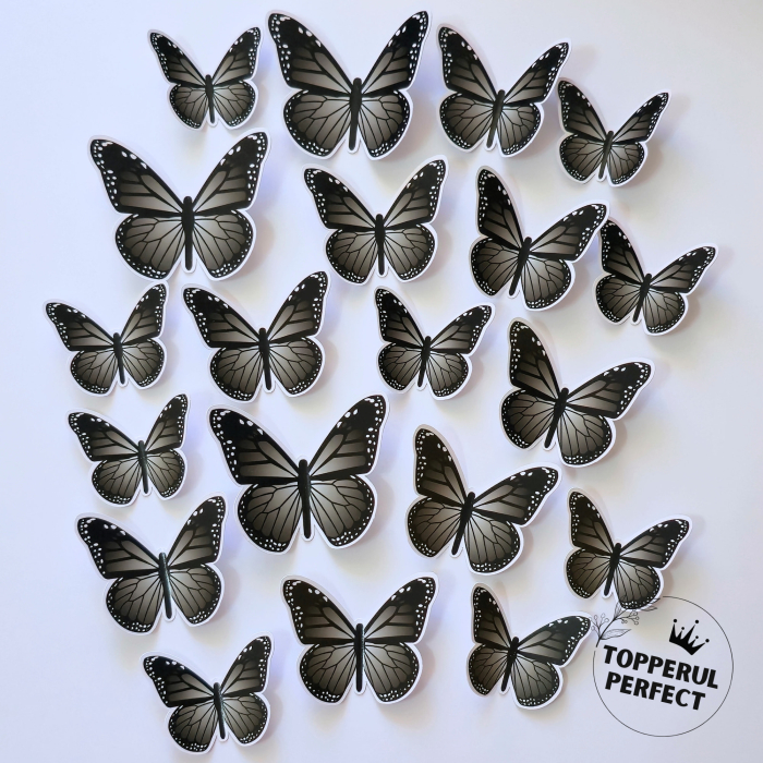 Set Fluturi Negri [1]