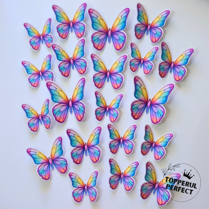 Set Fluturi Curcubeu [1]