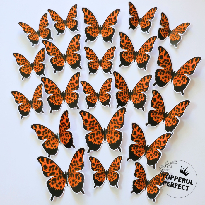 Set Fluturi Leopard [1]