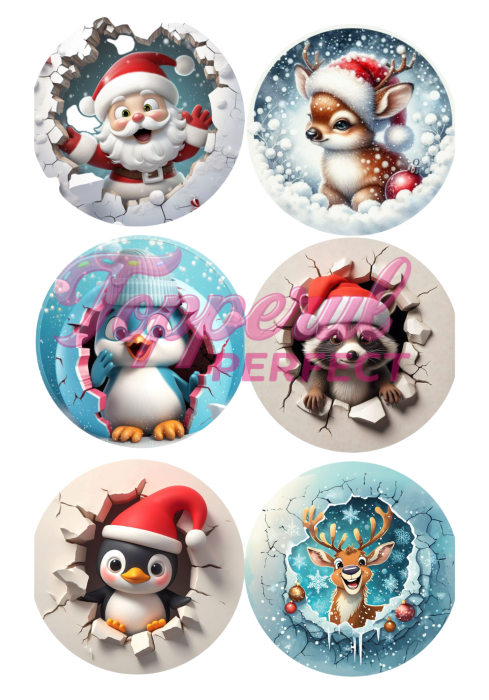 Vafa Imprimata Craciun 15 [1]