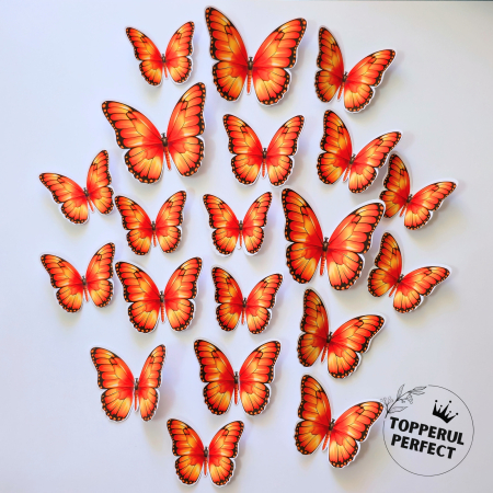 Fluturi - Set Fluturi Portocali
