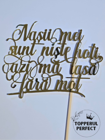 Happy Birthday - Topper Nasi mei sunt niste hoti Auriu /1 Bucată