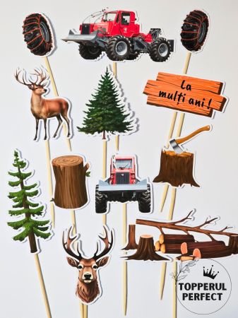 Toppere Meserii - Set Toppere Padure + Taf