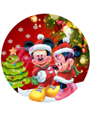 Vafe - Vafa Imprimata Craciun 8