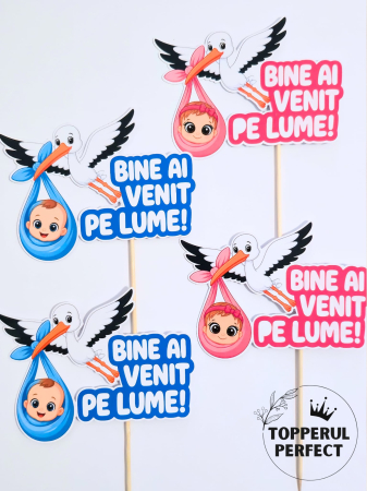 Toppere Botez - Set Toppere Bine Ai Venit Pe Lume Baieti/Fetite
