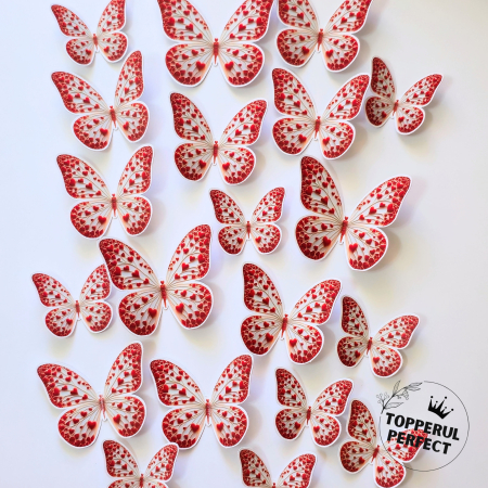 Fluturi - Set Fluturi cu Inima