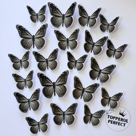 Fluturi - Set Fluturi Negri