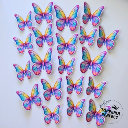 Fluturi - Set Fluturi Curcubeu