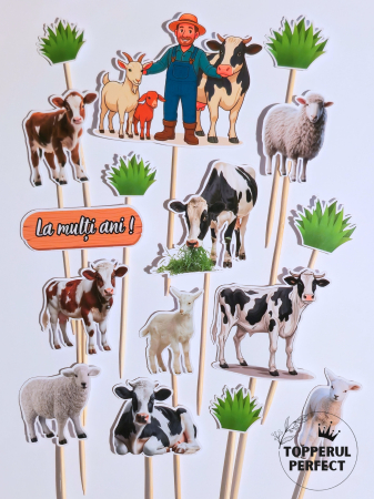 Toppere Meserii - Set Toppere Ferma Barbati 2