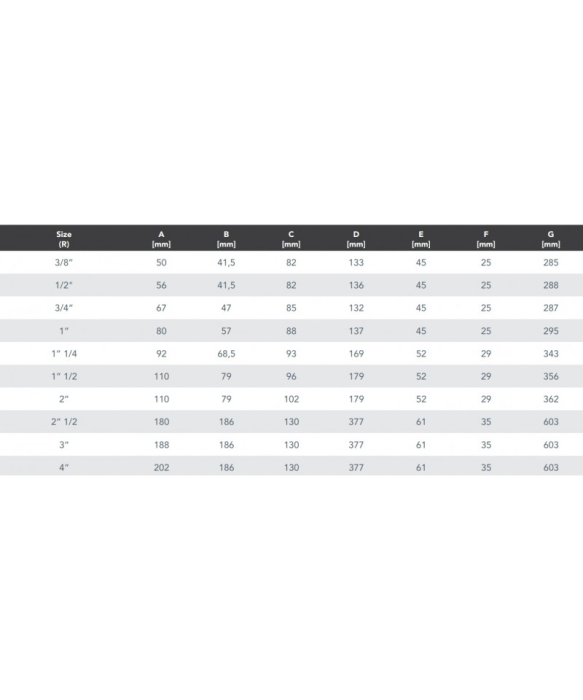 FILTRU APA CU AUTOCURATIRE 1" RBM [4]