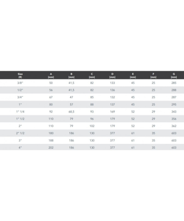 FILTRU APA CU AUTOCURATIRE 3/4" RBM [3]