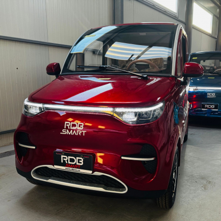 Masini Electrice - RDB SMART