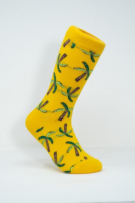 Sosete colorate inalte femei, Palmieri. [1]