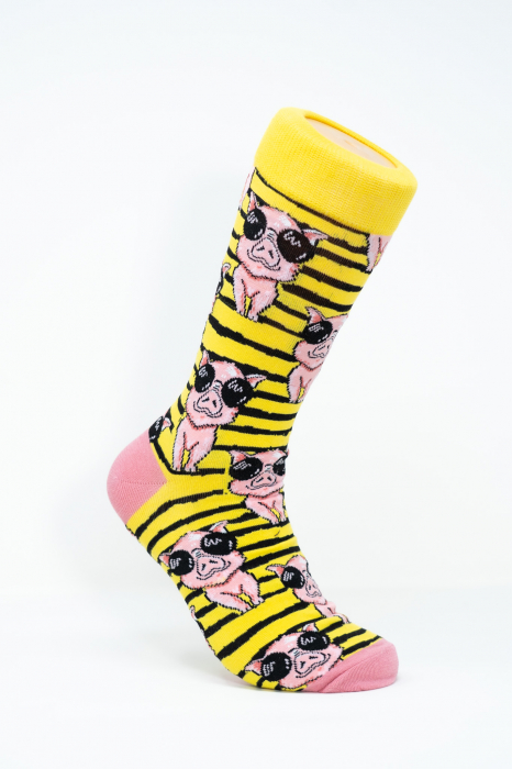 Sosete colorate inalte barbati, Porcusor cu Ochelari de Soare. [1]