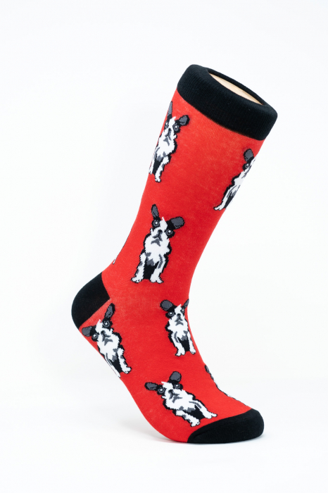 Sosete colorate inalte de femei, Catel, Pet Lovers. [1]