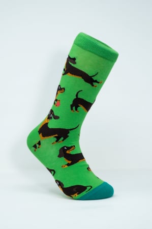 Sosete colorate femei - Sosete colorate inalte femei, Catel Teckel Maro.