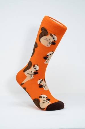 Socks for Women - Sosete colorate inalte femei, Veverita cu Aluna de Padure.