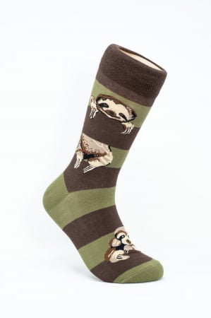 Sosete colorate barbati - Sosete colorate inalte barbati,Animal Lenes, pe Creanga.