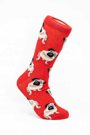 Sosete Barbati - Sosete colorate inalte de barbati, Catel Mops, Rasa Pug.