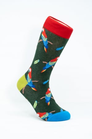 Sosete colorate femei - Sosete colorate inalte femei, Papagal Pene Colorate.