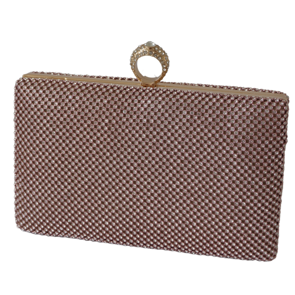 Clutch cu cristale și ramă metalica - Champagne [2]