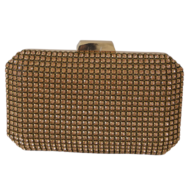 Clutch cu cristale și ramă metalica - Champagne [3]