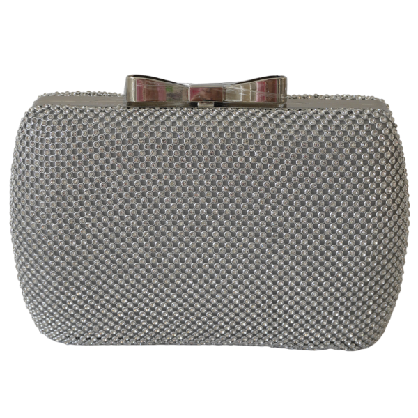 Clutch cu cristale și ramă metalica -Argintiu [3]