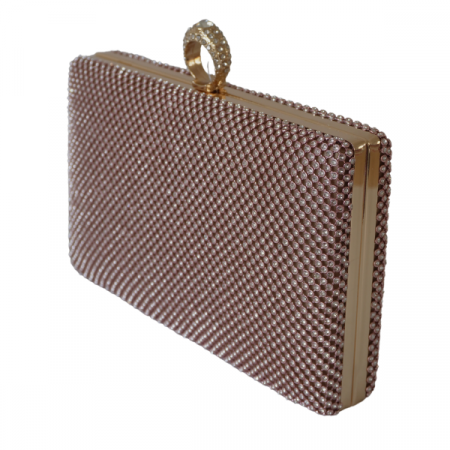 Clutch cu cristale și ramă metalica - Champagne [2]