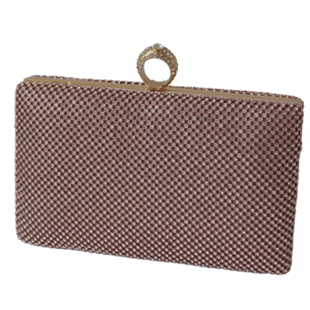 Clutch cu cristale și ramă metalica - Champagne [1]