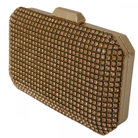 Clutch cu cristale și ramă metalica - Champagne [1]