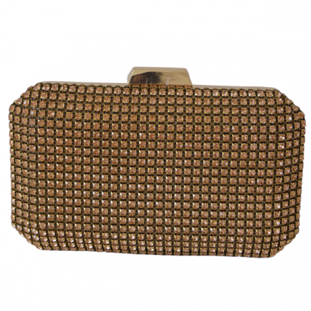 Clutch cu cristale și ramă metalica - Champagne [2]