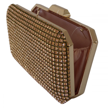 Accesorii - Clutch cu cristale și ramă metalica - Champagne