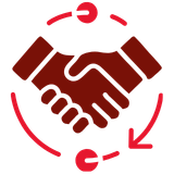 100+ proiecte și colaborări