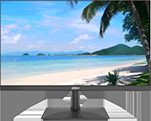 Monitor FULL HD LED 23.8 INCH, VGA, HDMI, 60 HZ, 2 difuzoare - LM24-H200 [2]