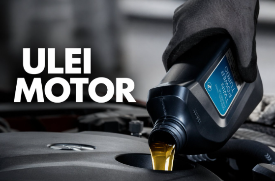 Ulei Motor