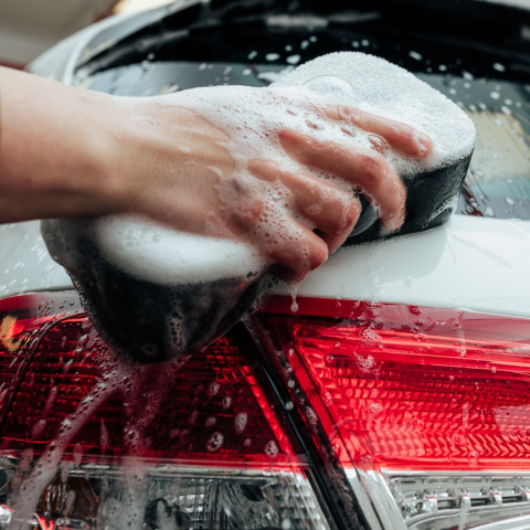 4620.jpg [2]