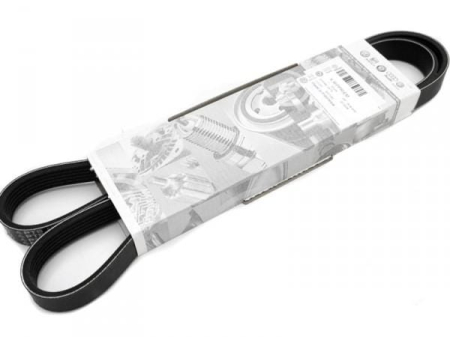 accesorii - Volkswagen  Curea accesorii 03L903137J