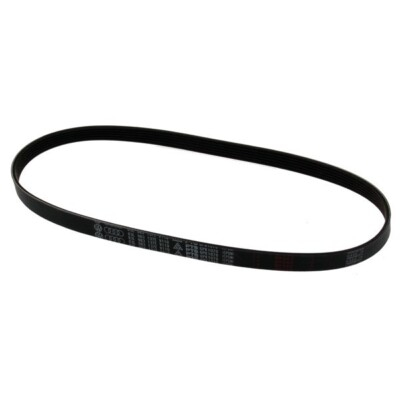 accesorii - Volkswagen Curea accesorii 03L903137T