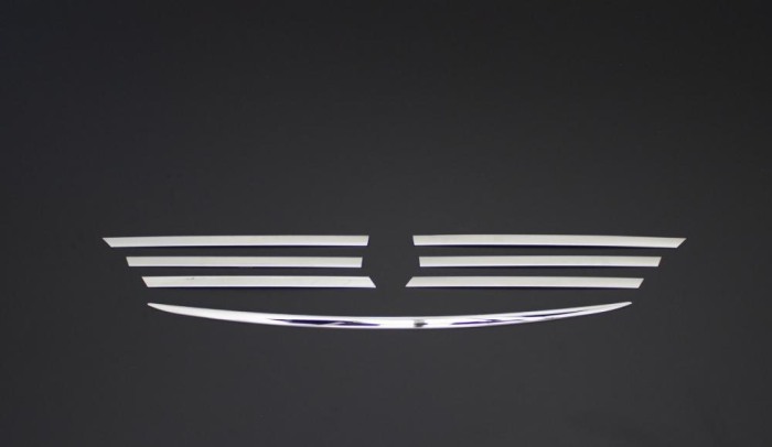 Ornamente inox grila Mercedes Vito W639 2004-2010 [1]